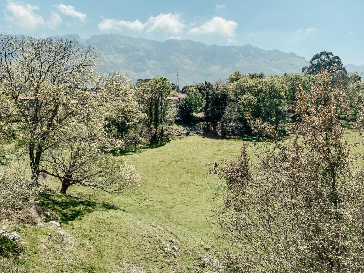 Bella Kalma, Acogedora Casa Con Parking, Jardin Y Wifi Casa de hóspedes Llanes Exterior foto